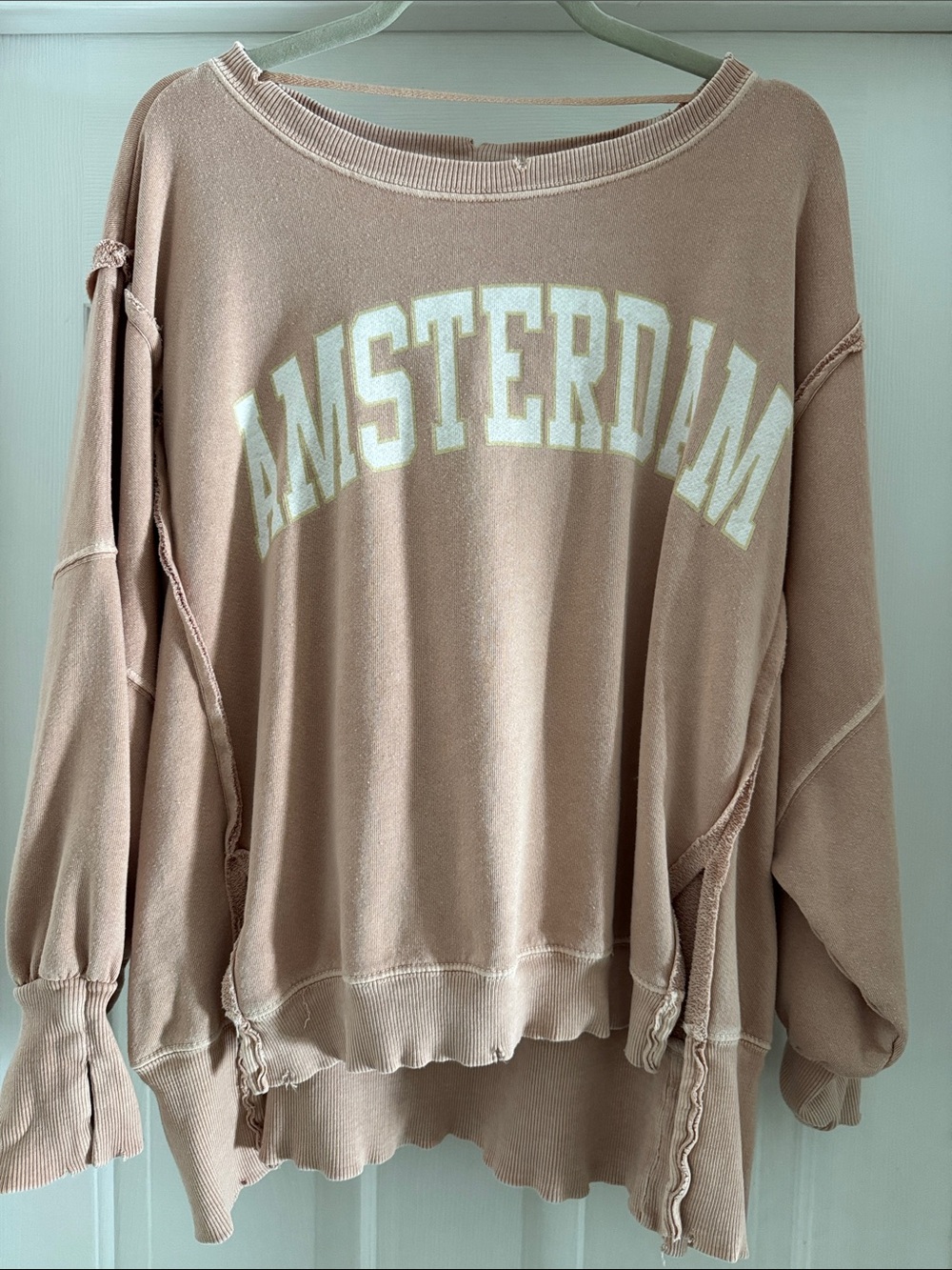 We The Free Beige 'Amsterdam' Relaxed Crewneck Sweatshirt
